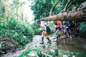 BIB: 
                            <button type="button" onclick="openModal(25466679)" class="btn btn-primary btn-sm float-right btn-popup" data-toggle="modal" data-target=".modal-high-quality">
                        <i class="fas fa-shopping-cart"></i> Add to Cart
                    </button>
                                            <button type="button" onclick="isThisMe(25466679, true)" class="btn btn-success btn-sm float-right btn-popup btn-isme hidden" data-toggle="tooltip" data-placement="bottom" title="นี่คือรูปของคุณใช่ไหม คลิกที่นี่เพื่อเอาเข้าอัลบั้ม">
                        <i class="fas fa-plus"></i> Add to album
                    </button>
                    <button type="button" onclick="isThisMe(25466679, false)" class="btn btn-warning btn-sm float-right btn-popup btn-isnotme hidden">
                        <i class="fas fa-ban"></i> Remove from album
                    </button>